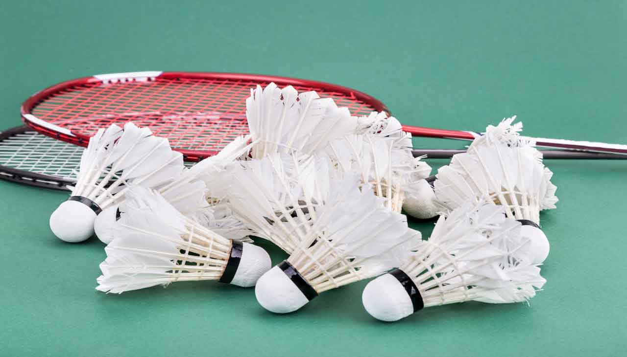 https://cyprusbadminton.com.cy/wp-content/uploads/2024/04/about3.jpg